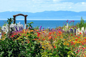 Coastal Garden